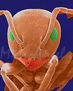 What's 'bugging' you?