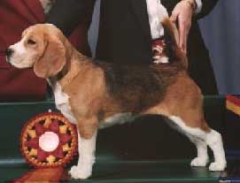 Everyone's a Winner!