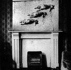 Fly higher than you've ever dreamed with SATA!!